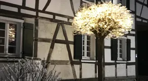Wohnung Alter Heuboden im Fachwerk bei Bonn Alfter - Image 5