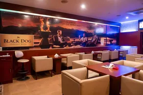Cosmos Raj Plaza Jaipur - Image 4