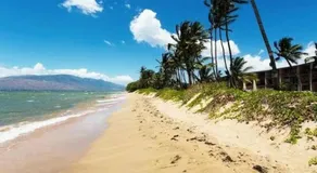 Huge 1 Bedroom in Heart of Kihei - Image 5