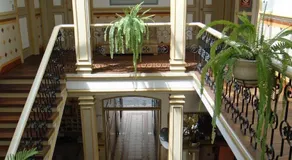 Hotel La Orquidea - Image 5