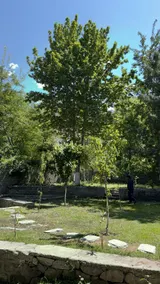 The Pecan Resort - Image 3