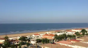 Cisne del mar - Image 3