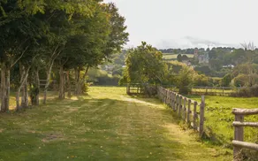 Plantation Villa Ruxton Farm - Image 3