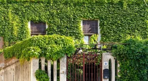 Casa Edera - Villa Storica - Image 5