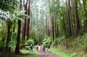 Artistic, SC apt. Puffing Billy nearby! - Image 4
