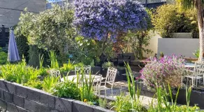Clarence House Apartments - Image 4