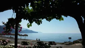 Oriental Bay - Image 5