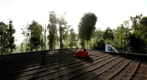 Coffee Native - A Family Homestay - Image 4