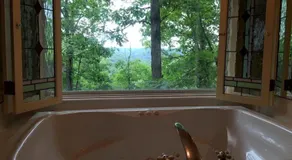 Ozark Spring Cabin 02 Cliff Side-King Bed Spa Tub - Image 5