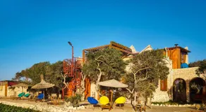 Riad Golden Baibah - Image 3