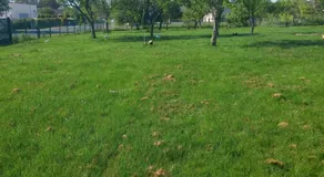 Maison charmante à Chepy avec jardin et piste de pétanque - Image 3