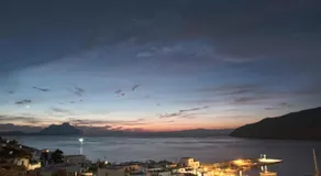 Erisimo - Image 5
