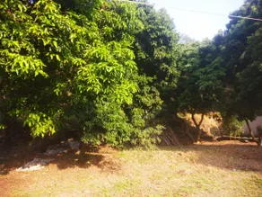 Nature valley home stay - Image 3
