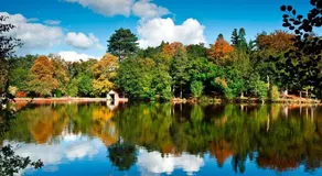 Your home near Gatwick Airport - Image 5