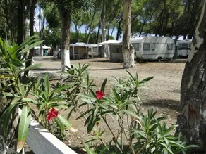 Camping Cammello Grigio - Image 4