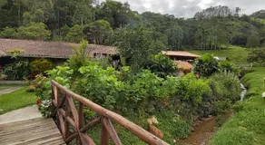 Solo Sagrado - Image 3
