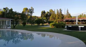 Il Frutteto - Image 3