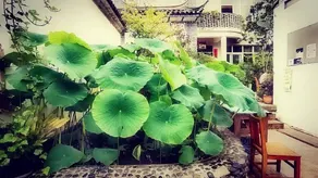 Dali Lily Guest House, close to the Honglongjing Gate of the ancient city,only 200 meters ,near the Cangshan and Erhai Lake, convenient payment,Chinese name is 大理百合国际青年旅舍 - Image 3