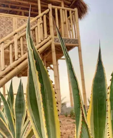 Desert Hut - Image 3