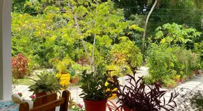 Chez Mera Self Catering - Image 4
