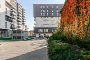 Lumina luxury apartment on Drewnowska - Image 4