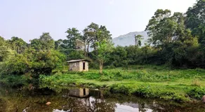 Milu Homes - Image 4