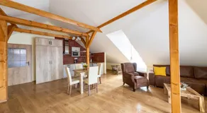 Residence Tvrz Skočice - Image 4