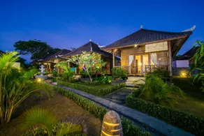 Bali Belva - Image 4