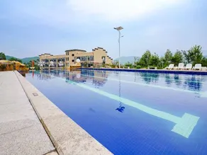 Tang quang  gu - Image 5