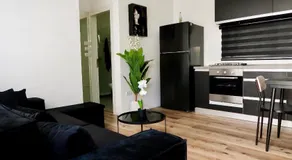 San Suite - Image 4