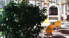 Egg Hotel Dieppe - Image 4