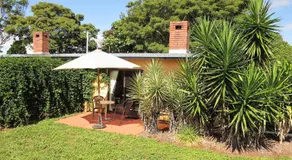 Gumtree on Gillies Bed and Breakfast - Image 3