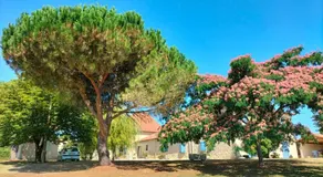 le Pigeonnier gersois - Image 5