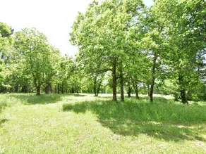 Labardamier Garden Home - Image 1