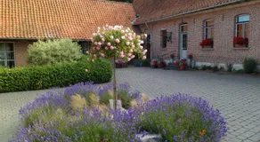 Gîte de la Noyelle à Sainghin en Mélantois - Image 4