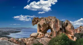 Sandy Bear Guesthouse - Happy Rentals - Image 3