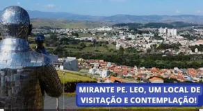 Lírio-da-paz - Image 3