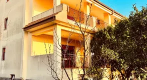 Home & Garden - Image 5