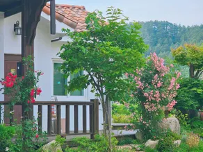 Jeongseon Solmi Pension - Image 4