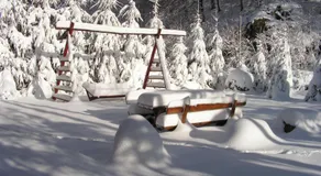 Rustic House - Image 3