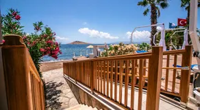 Club Muskebi - Image 4