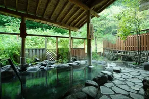 Oshuku Onsen Kawacho Natural Hot Spring - Image 5
