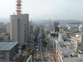 Imabari Plaza Hotel - Image 3