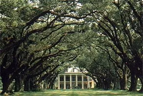 Oak Alley Plantation - Image 4