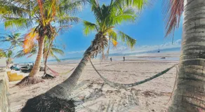 Bush Beach Hostel - Image 5