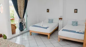 Las Palmas - Image 2