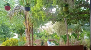 Lilly Farm - Image 5