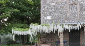 Country House - Casa Raffaella di Michele e Sven - Image 1