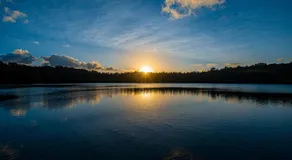 Chambers Wildlife Rainforest Lodges - Image 5