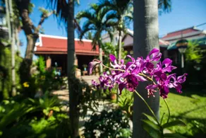 Casa Rio - Riverside holiday house in Hoi An - Image 4